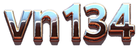vn134 logo